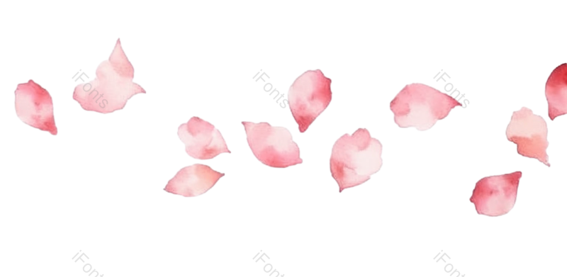白色背景图片,花瓣元素,樱花PNG,免抠素材